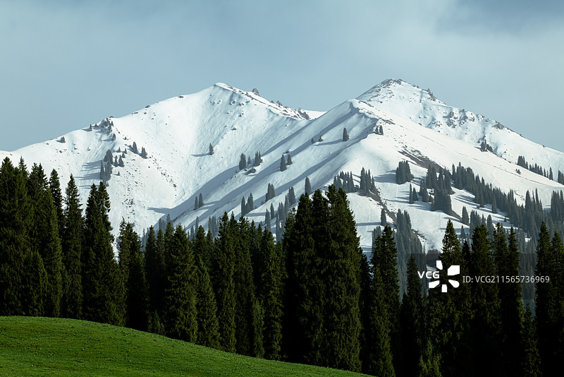 从库尔德宁眺望那拉提雪山图片素材