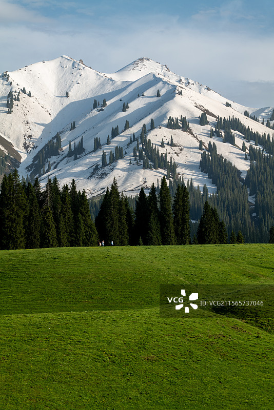 从库尔德宁草原眺望那拉提雪山图片素材