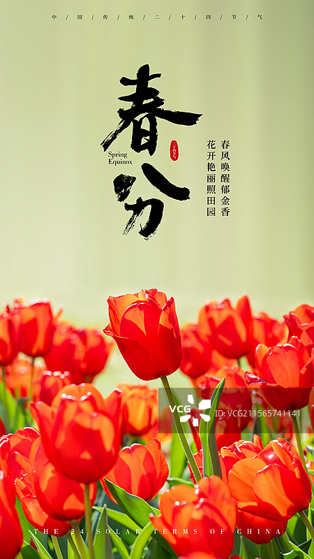 春分节气海报图片素材