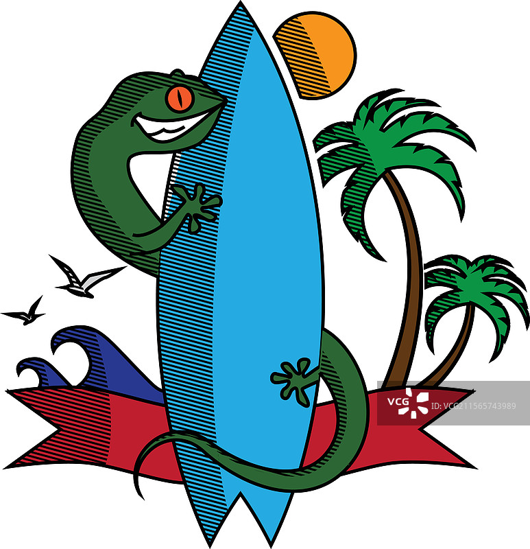 在海滩上冲浪的蜥蜴图片素材