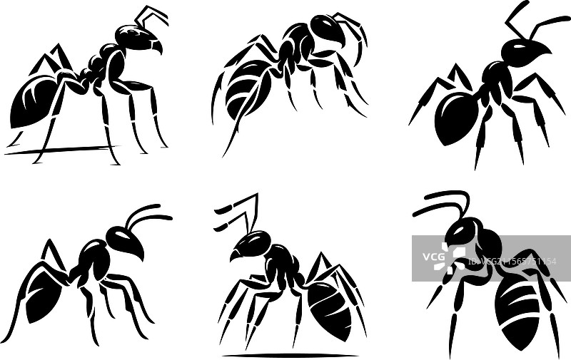 风格化的黑蚂蚁图案和剪影图片素材