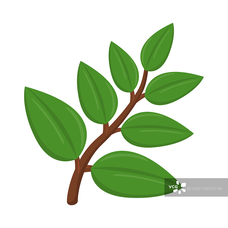 草药标志表情符号图标图片素材