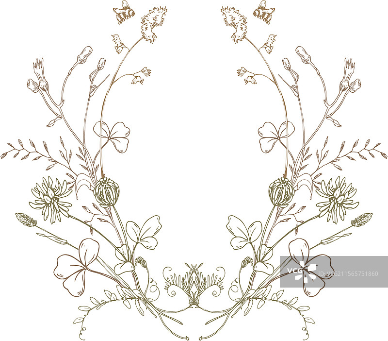 田野草地上的野花和草药，三叶草与之相伴图片素材