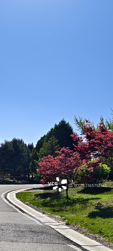 唐山市路南区南湖袋鼠房车露营地图片素材
