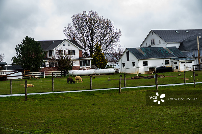 当代桃花源，美国阿米什人保护地—归去来兮，家园图片素材