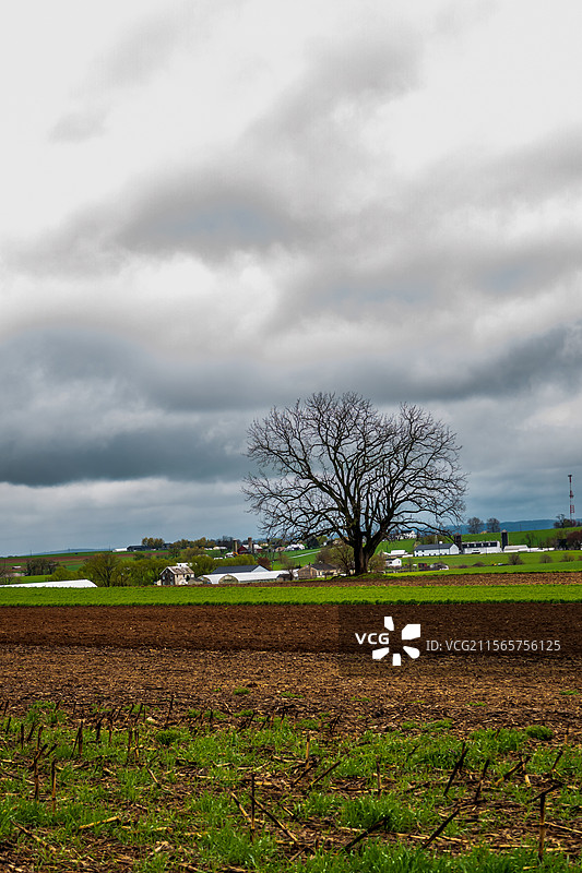 当代桃花源，美国阿米什人保护地—归去来兮，家园图片素材