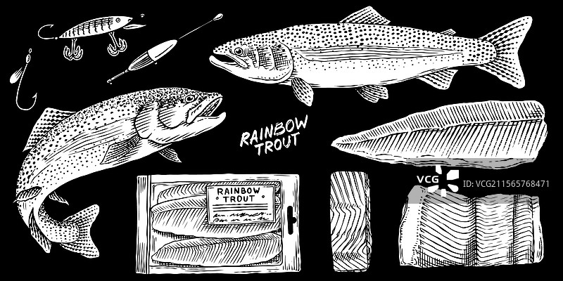 彩虹鳟鱼系列与鱼类包装图片素材