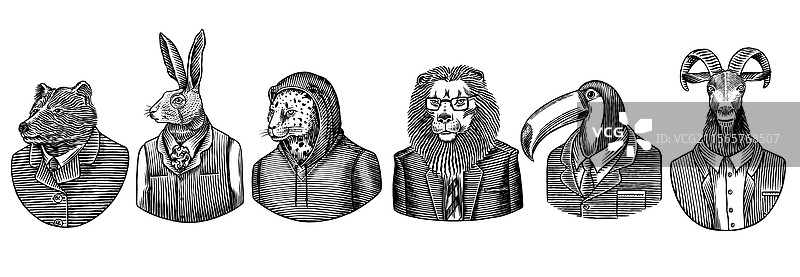 六种不同的动物和鸟类穿着人类的衣服图片素材
