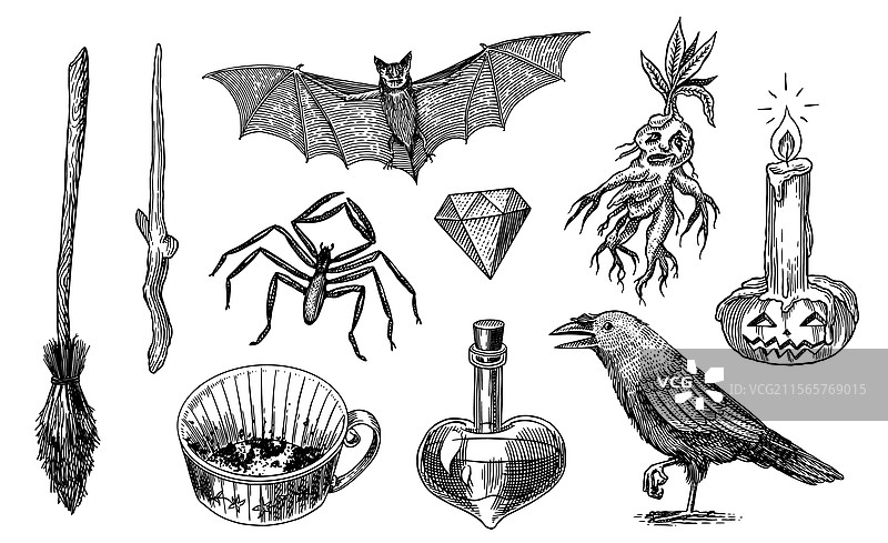 酒吧里的乌鸦和曼德拉草，乌鸦，南瓜，扫帚，魔杖图片素材