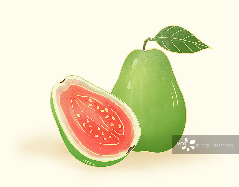 番石榴热带水果季节食物手绘插画图片素材