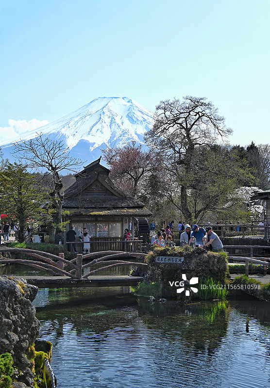 富士山下的忍野八海（山梨）图片素材