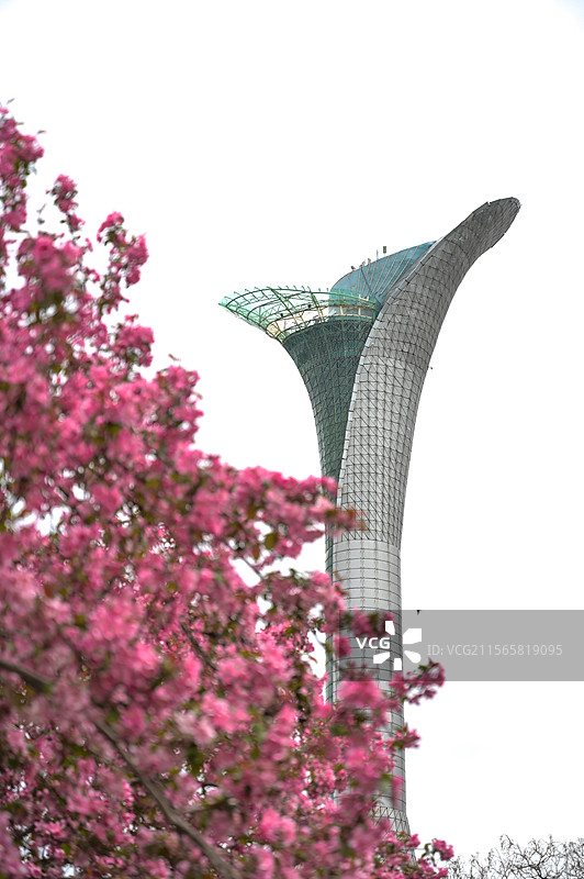 沈阳植物园百合塔图片素材