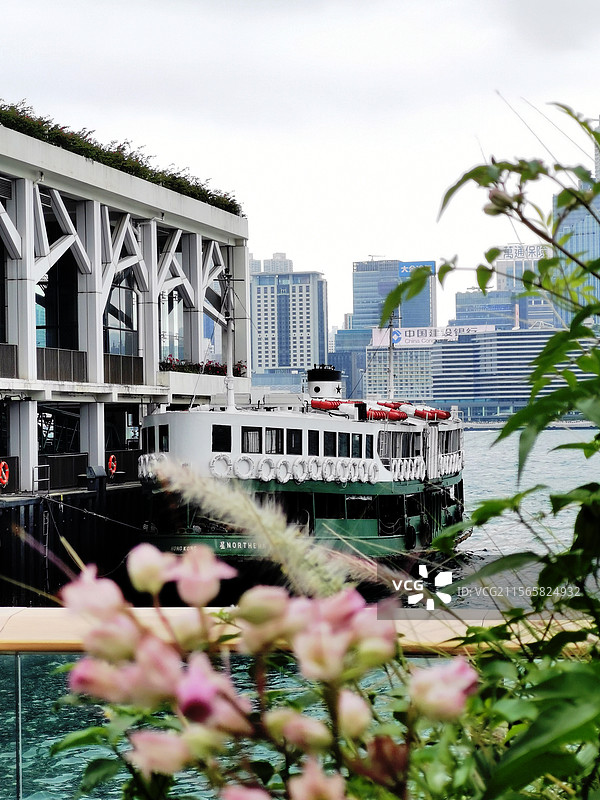 湾仔天星码头图片素材