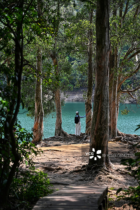 树林里的镜面湖景图片素材