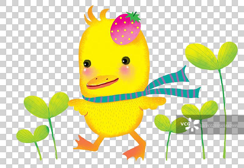 免抠图形 PNG元素 围着围巾的小黄鸭图片素材