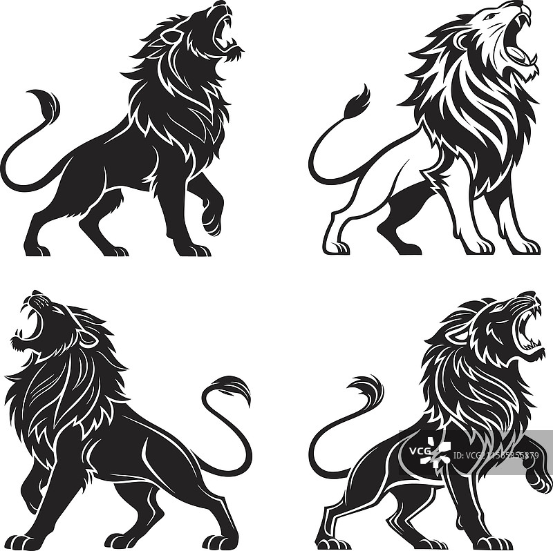 雄狮在威严姿态中咆哮的黑色剪影图片素材