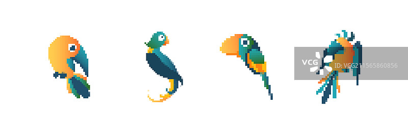 复古风格的彩色像素艺术鹦鹉面对面图片素材