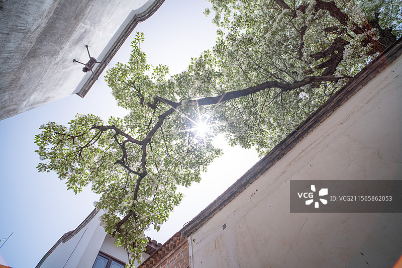 衣锦坊百年流苏图片素材