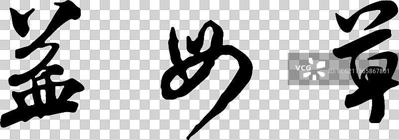 益母草图片素材