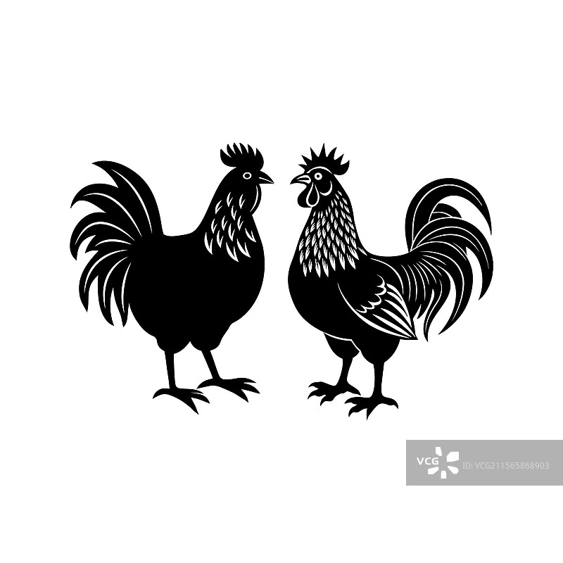 两只优雅的黑白公鸡和母鸡图片素材