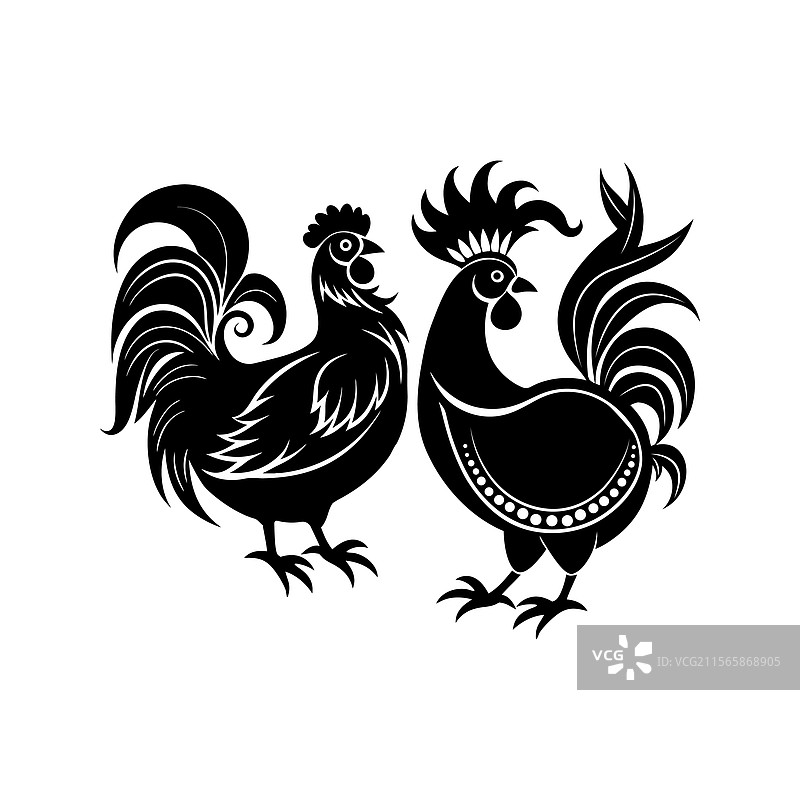 三只优雅的黑白公鸡和母鸡图片素材