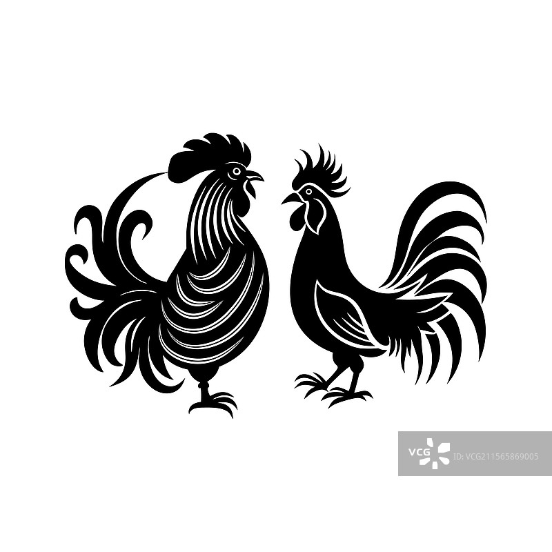四只优雅的黑白公鸡和母鸡图片素材