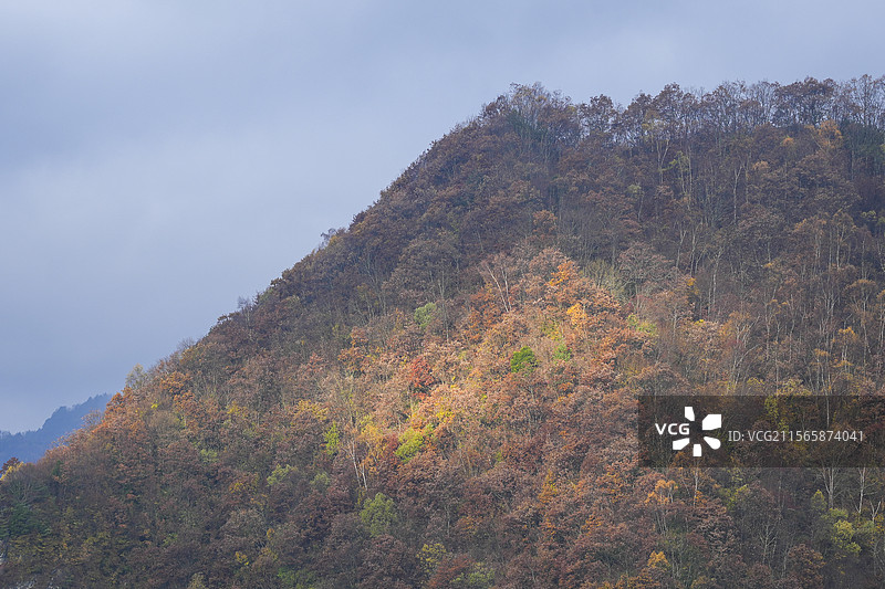 狮子沟牧场图片素材