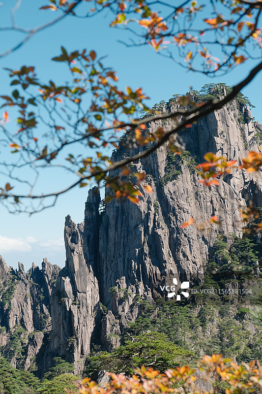 秋日黄山图片素材
