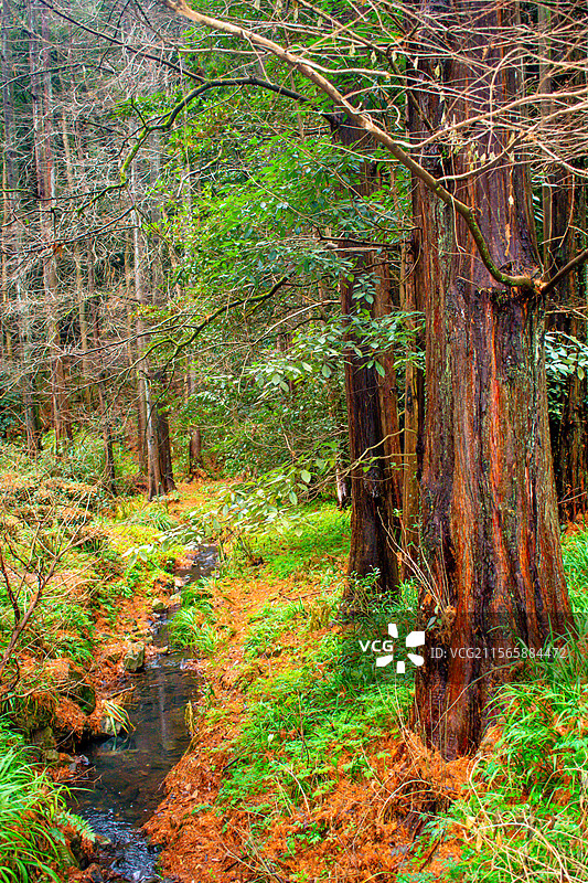 九溪十八涧图片素材