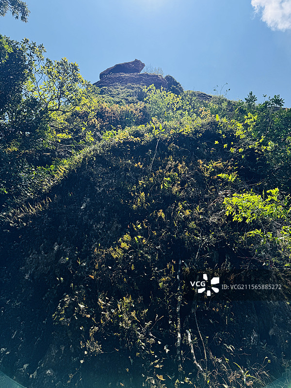 海南七仙岭温泉国家森林公园图片素材