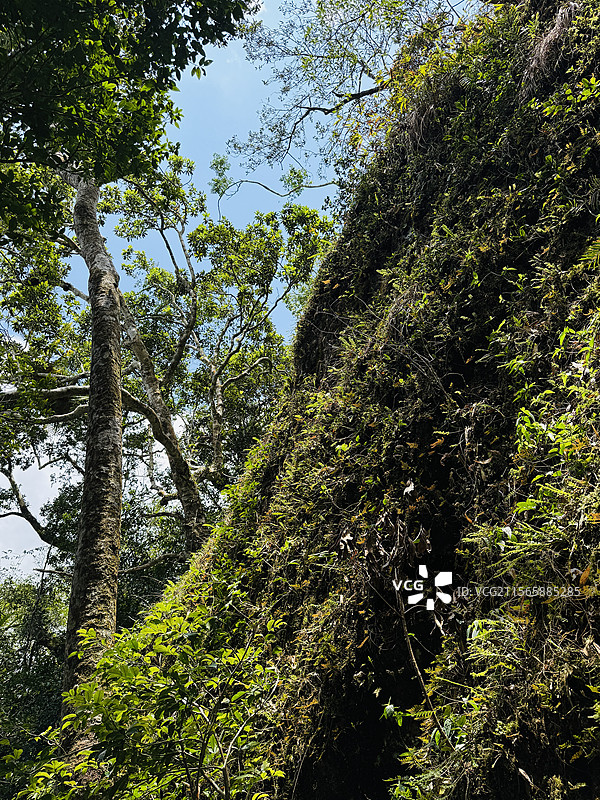 海南七仙岭温泉国家森林公园图片素材