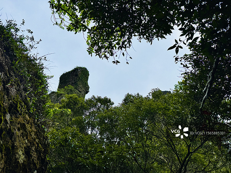海南七仙岭温泉国家森林公园图片素材