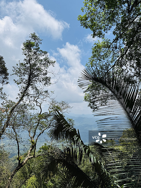 海南七仙岭温泉国家森林公园图片素材