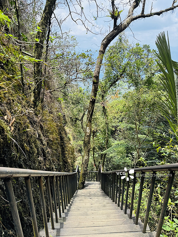 海南七仙岭温泉国家森林公园图片素材