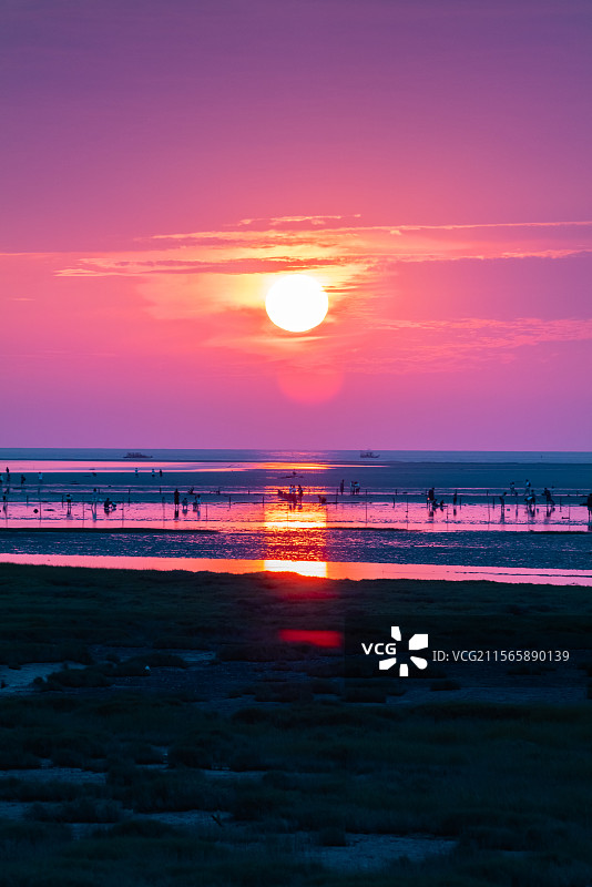 高美湿地日落图片素材