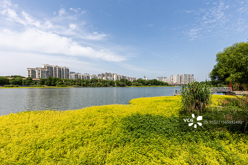 2025年5月5日立夏日常德穿紫河风光带城市风光图片素材