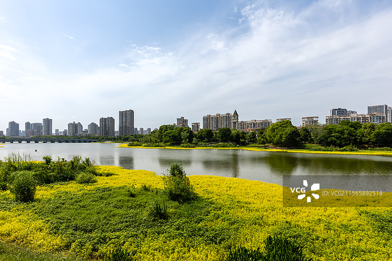 2025年5月5日立夏日常德穿紫河风光带城市风光图片素材