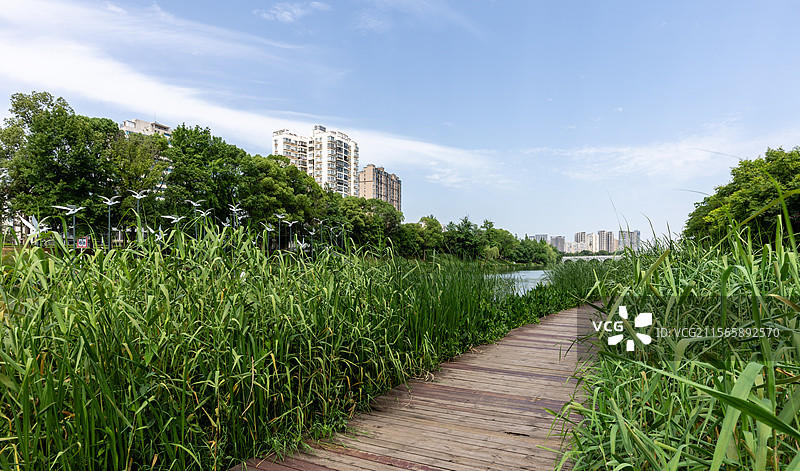 2025年5月5日立夏日常德穿紫河风光带城市风光图片素材