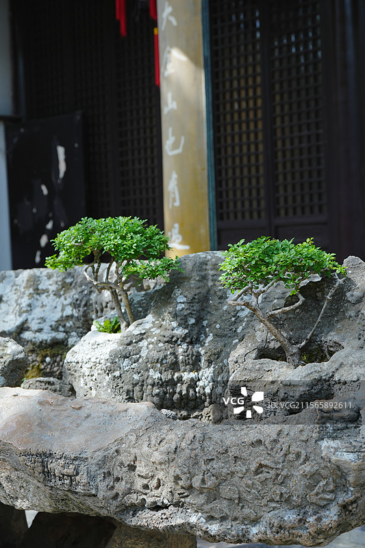 扬州，瘦西湖，烟花三月下扬州图片素材
