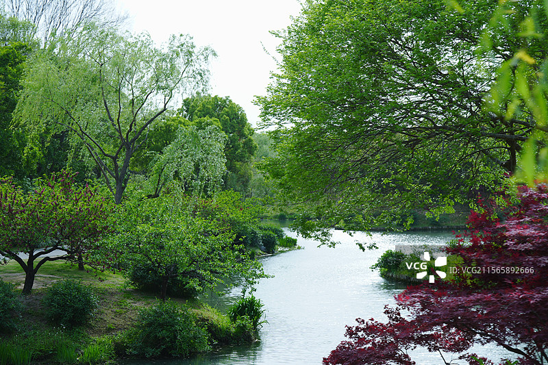 扬州，瘦西湖，烟花三月下扬州图片素材