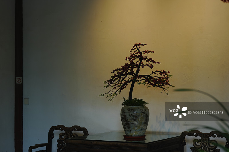 扬州，瘦西湖，烟花三月下扬州图片素材