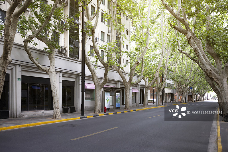 上海愚园路绿荫下的城市街道图片素材