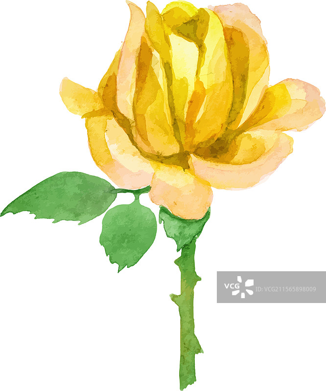 水彩画玫瑰花手绘设计图片素材