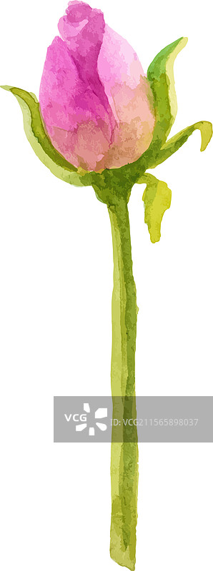 手绘水彩玫瑰花设计图片素材