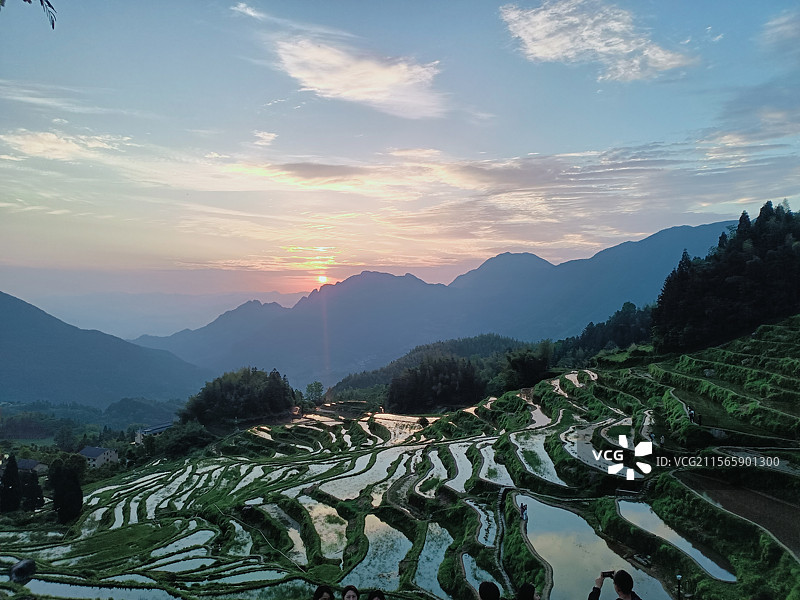 丽水云和梯田日出云海图片素材
