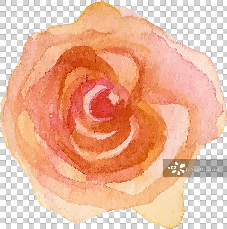 手绘水彩玫瑰花设计图片素材