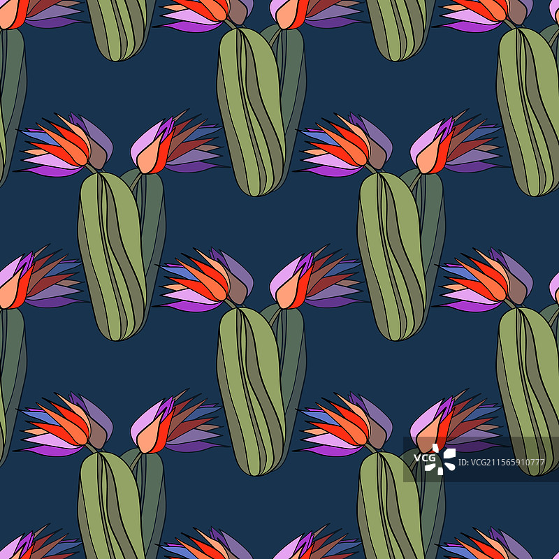 无缝图案，盛开的多肉植物仙人掌图片素材