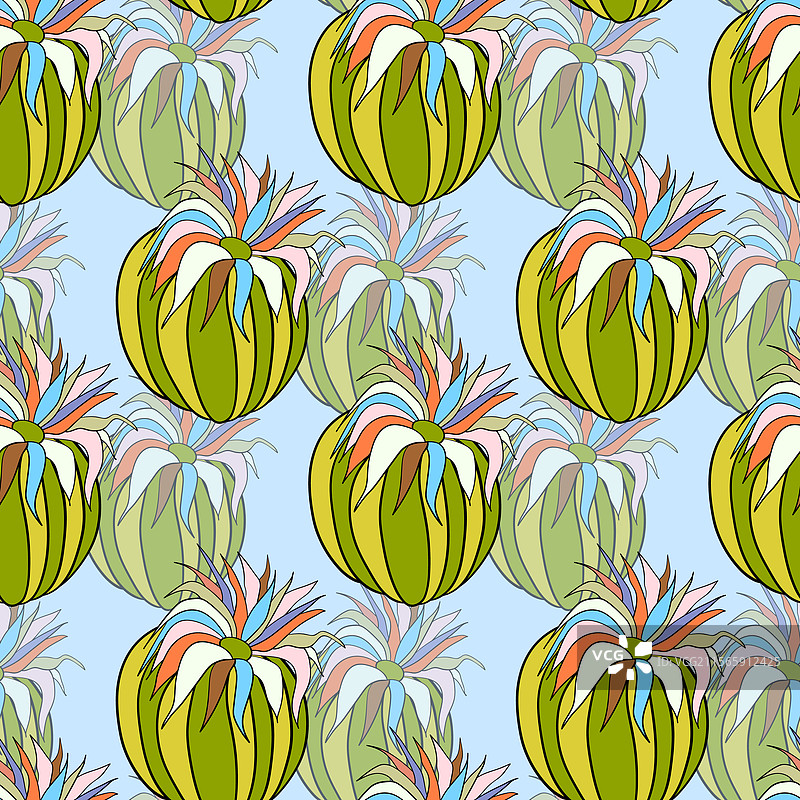 无缝图案，盛开的仙人掌多肉植物图片素材