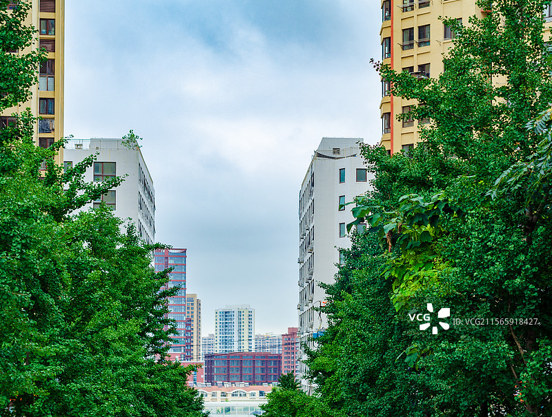 青岛市北区夏季城市风光图片素材