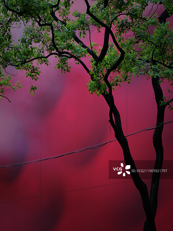 上海市 淮海中路 广告牌图片素材